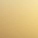 ａｕショップ大竹市役所前